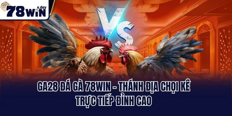 GA28 Đá Gà 78win - Thánh Địa Chọi Kê Trực Tiếp Đỉnh Cao