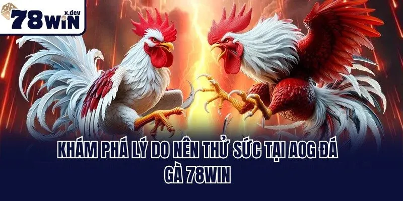 Khám phá lý do nên thử sức tại AOG đá gà 78win